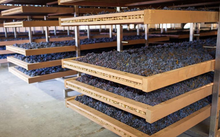 shutterstock_1211332546 (1)(FILEminimizer)